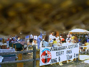 Annual Strawberry Festival and Craft Show